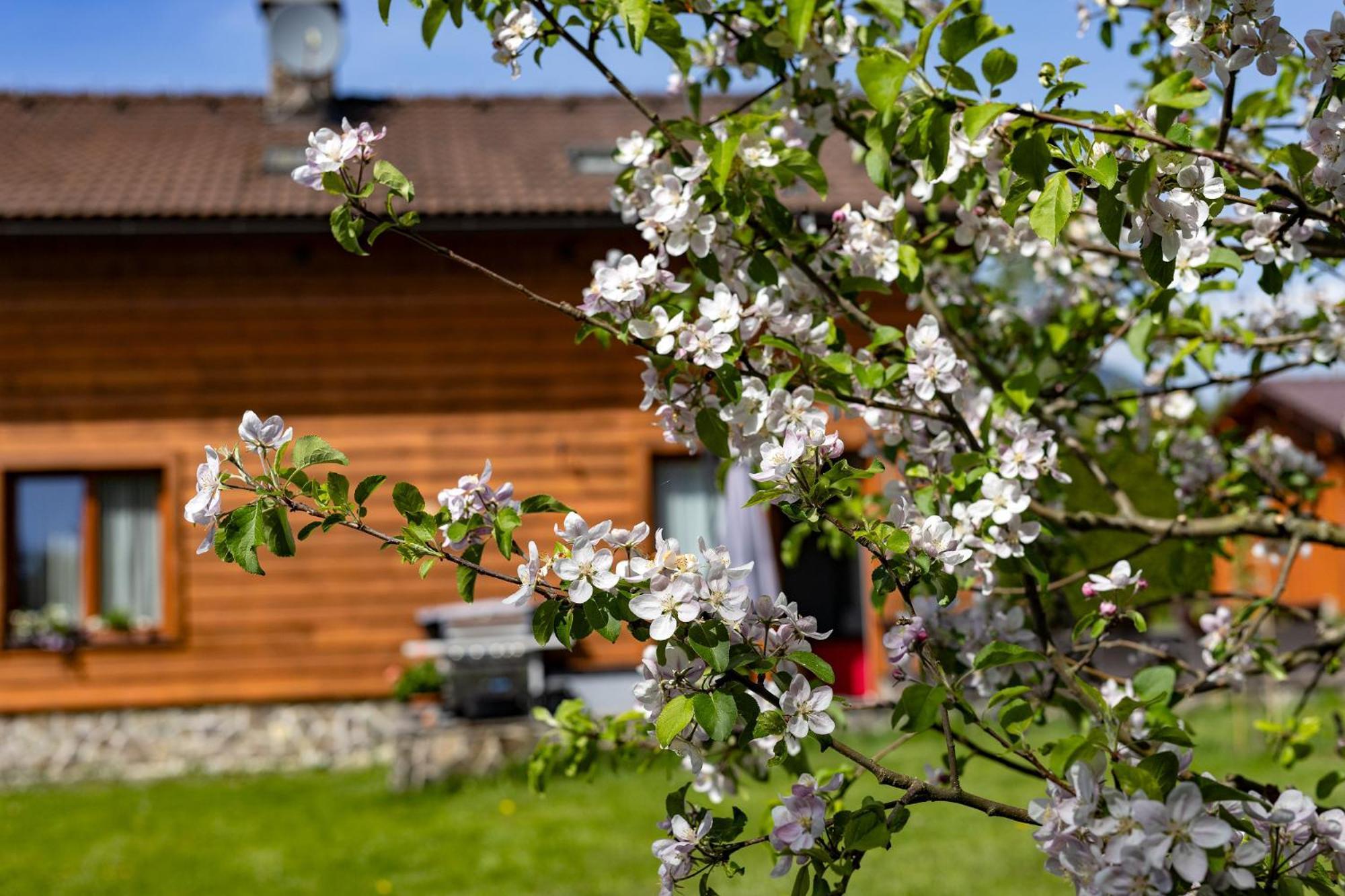 Apartmany Anicka Ubytovanie Region Liptovsky Mikulas Liptovske Matiasovce المظهر الخارجي الصورة