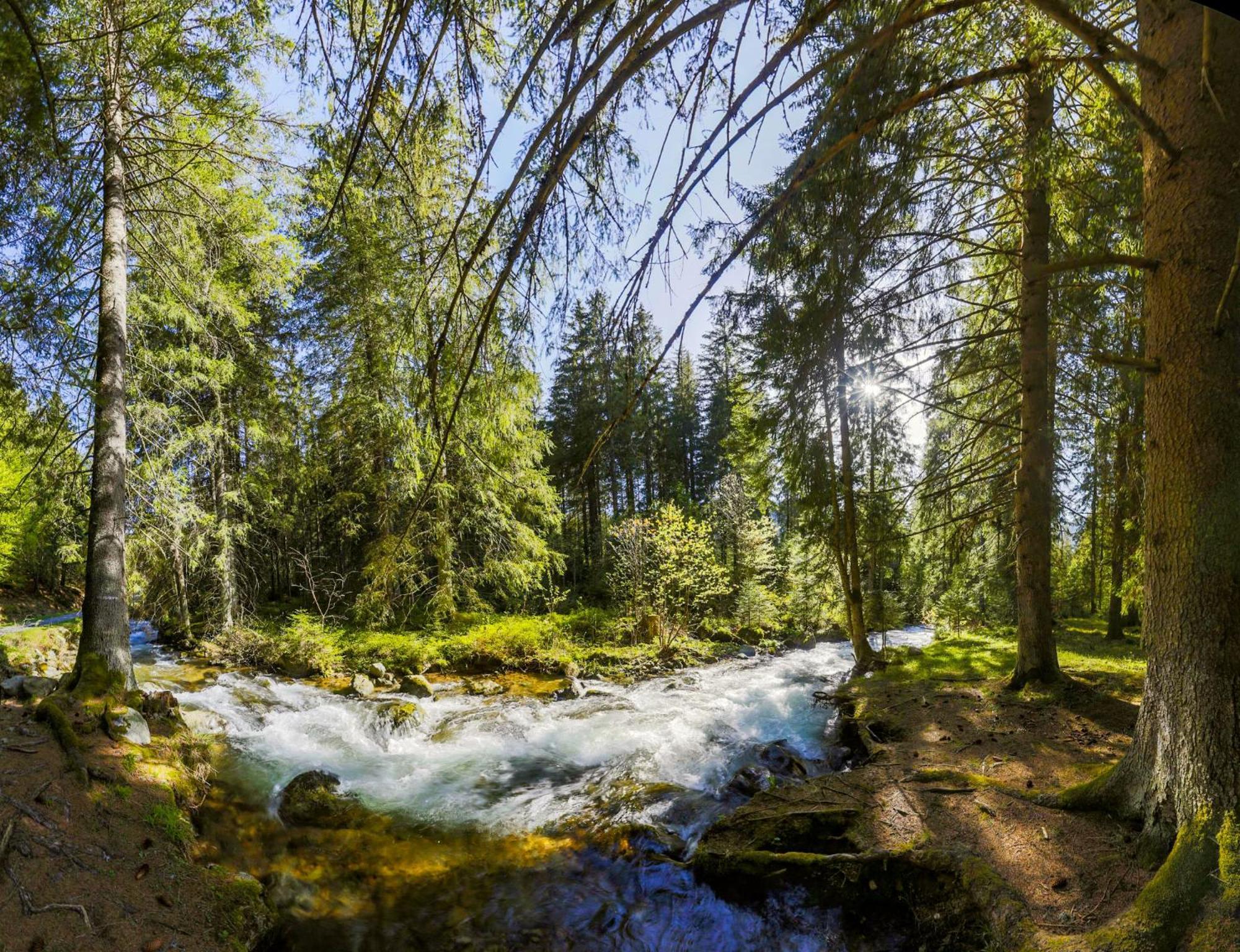 Apartmany Anicka Ubytovanie Region Liptovsky Mikulas Liptovske Matiasovce المظهر الخارجي الصورة
